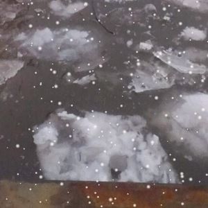 Meet your Posher, Alvaro